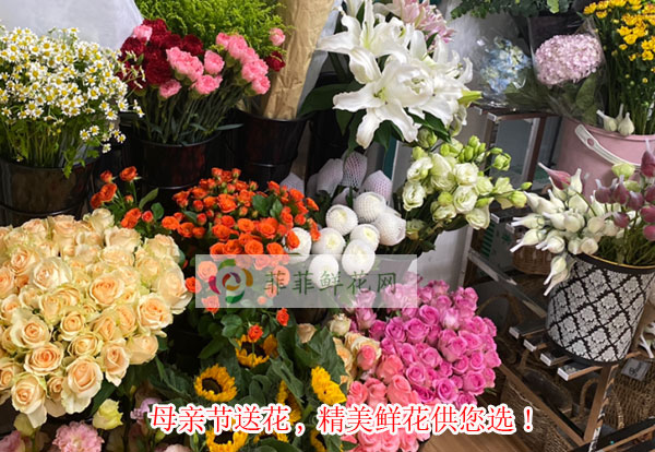 2024阜平县母亲节送花,阜平县精美鲜花供您选!